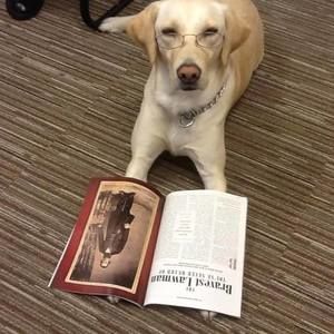 Meet your Posher, Hank